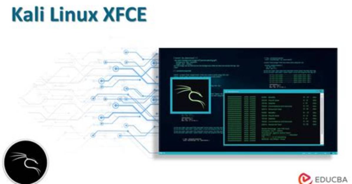 How Install Excel in Kali Linux?