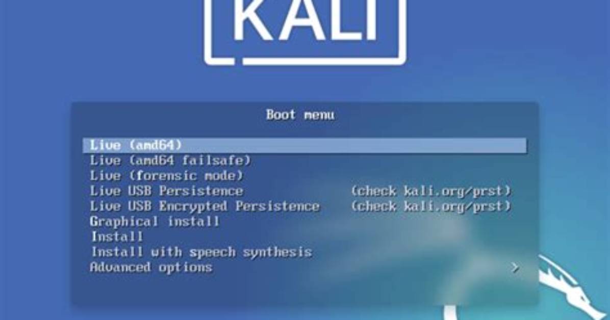 How Install Kali Linux on Live Boot?