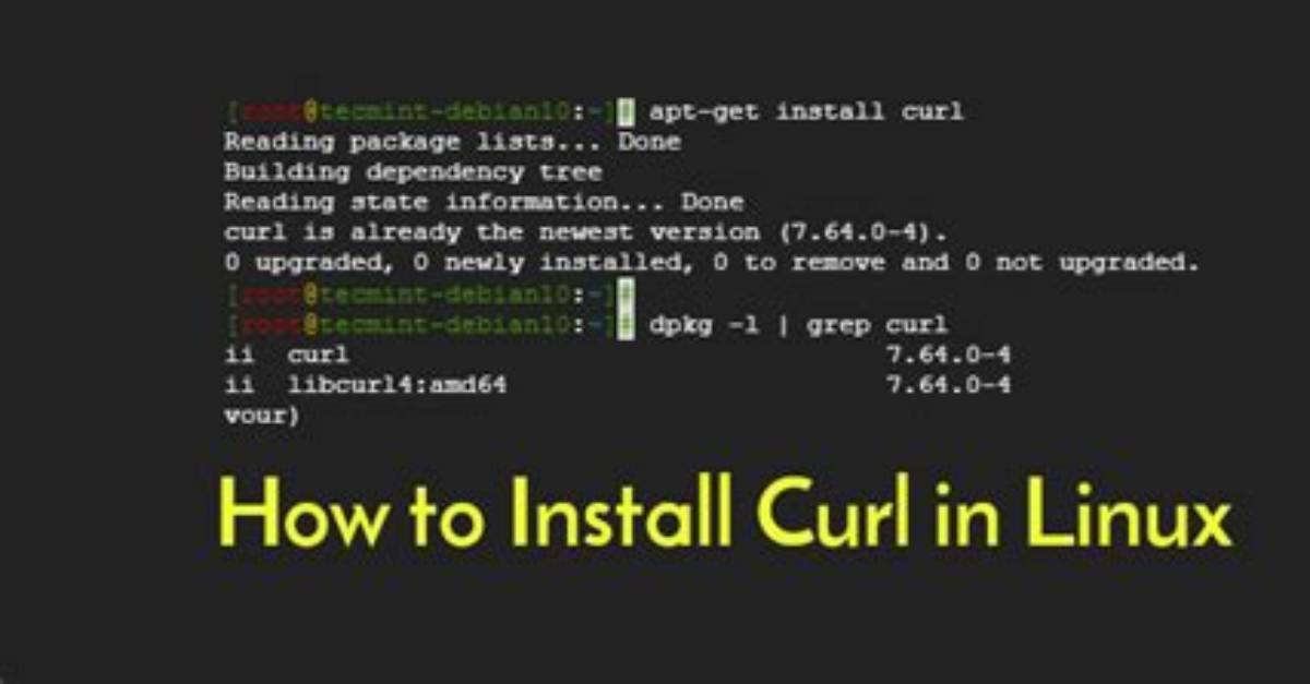 How Install Php Curl in Kali Linux?