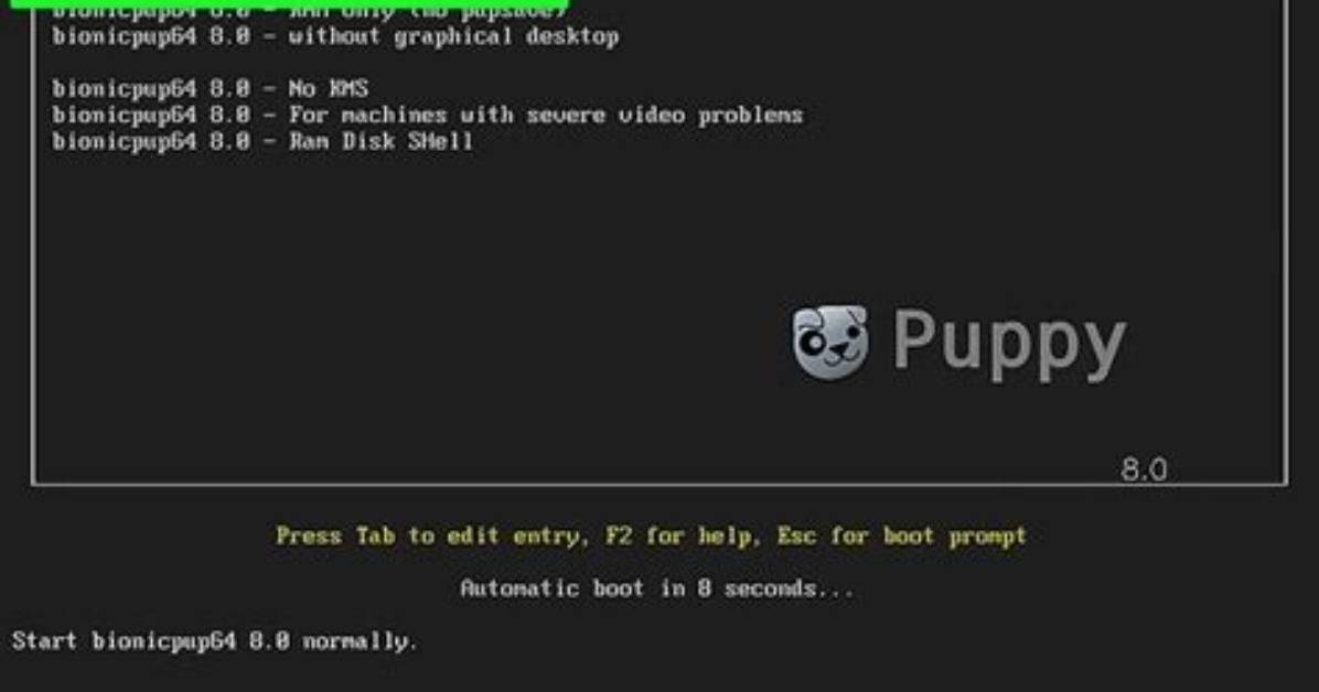 How Install Puppy Linux Packages?