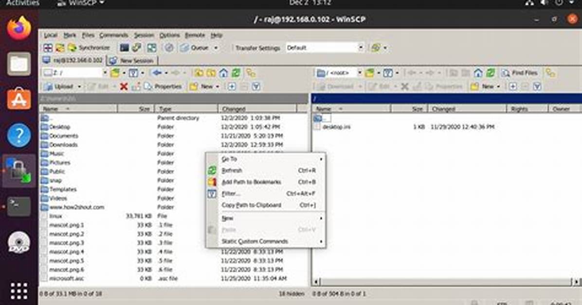 How Install Winscp Linux?