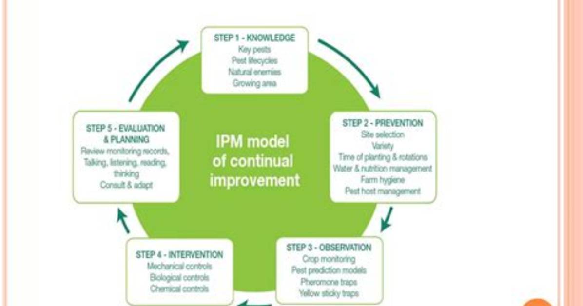 How Ipm Concept Emerged?