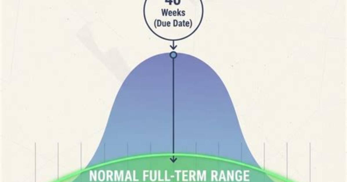 How Is 40 Weeks Calculated