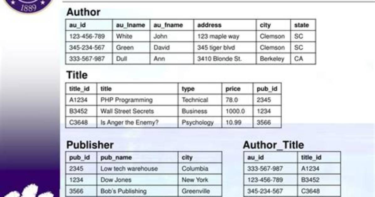 How Is a Bibliographic Database Constructed?