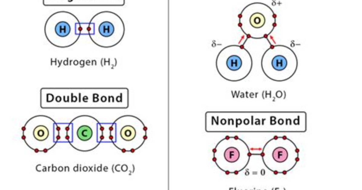 How Is a Covalent Bond Different from an Ionic Bond Quizlet?