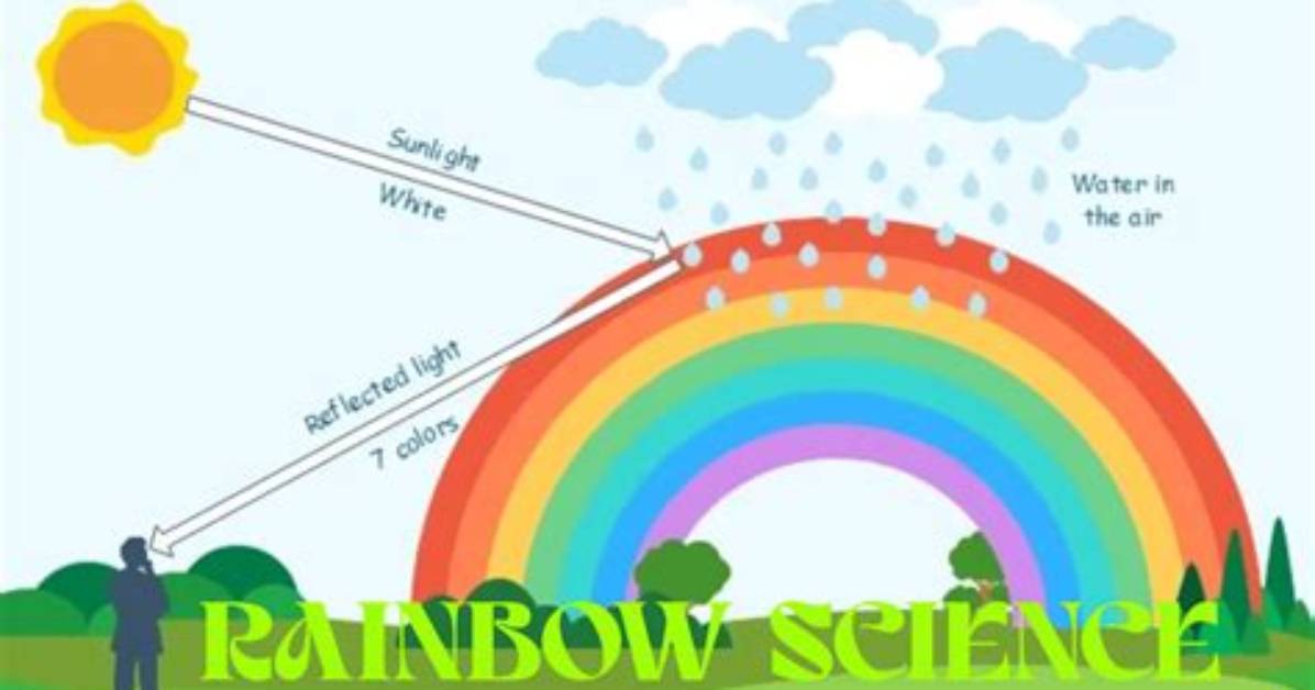 How Is a Rainbow Made?