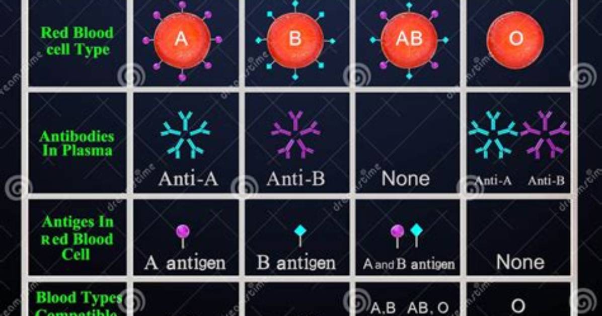 How Is Blood Type Determined?