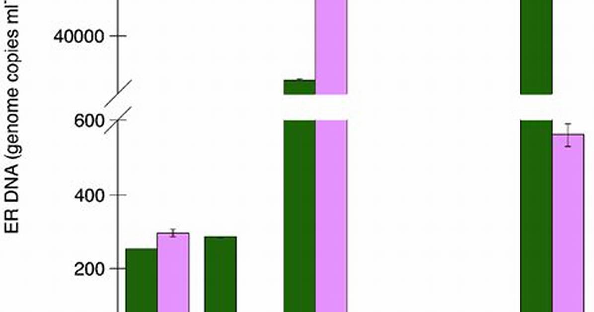 How Is Dna Quantified?