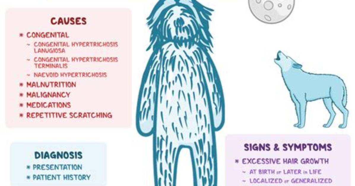 How Is Hypertrichosis Causes?