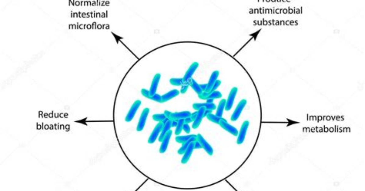 How Is Lactobacillus Transmitted?