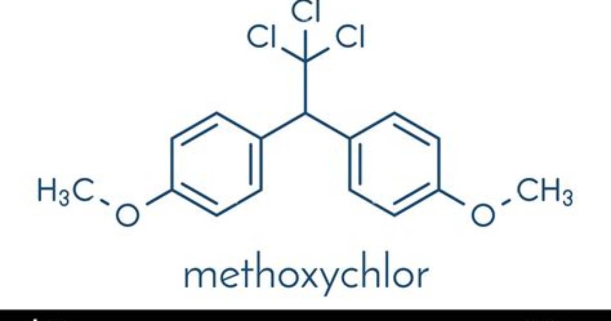 How Is Methoxychlor Created?