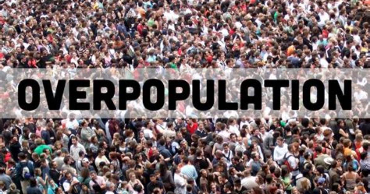How Is Overpopulation an Issue?