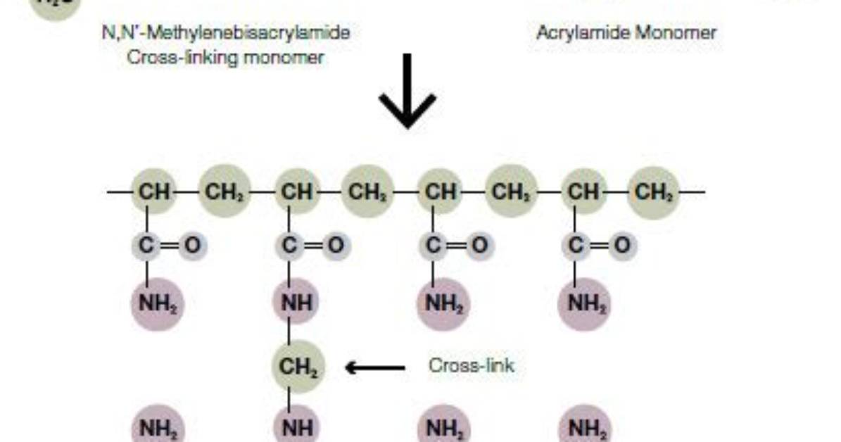 How Is Polyacrylamide Made?