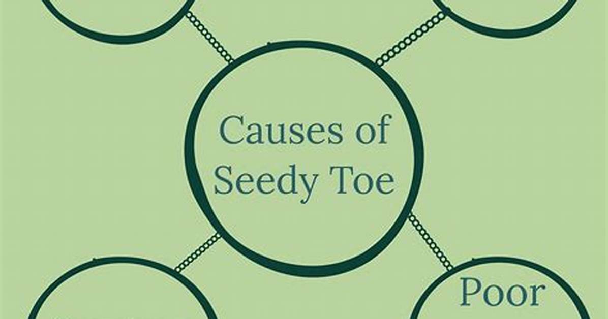 How Is Seedy Toe Transmitted?