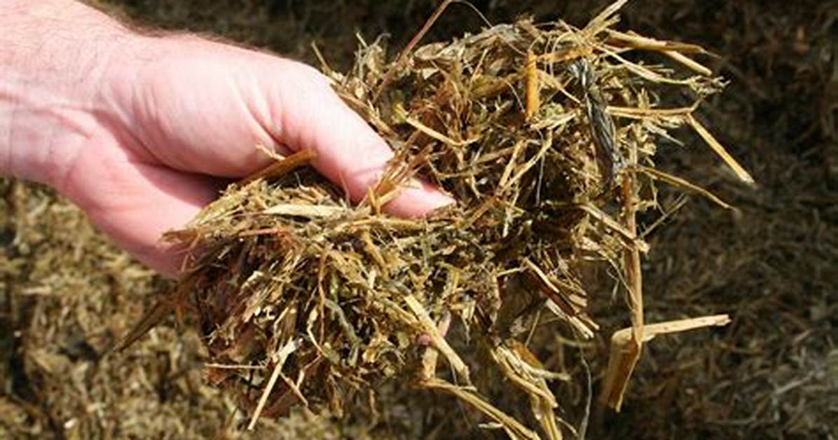 How Is Silage Made?