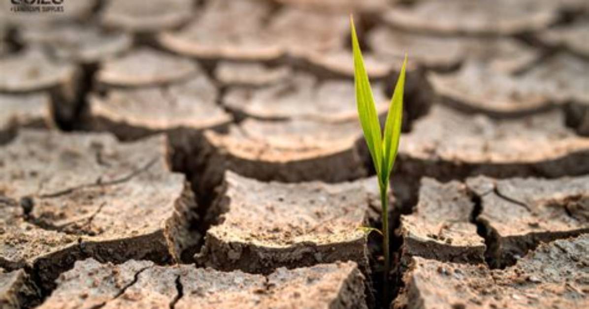 How Is Soil Lose