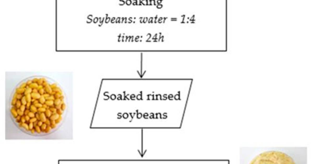 How Is Soybean Made
