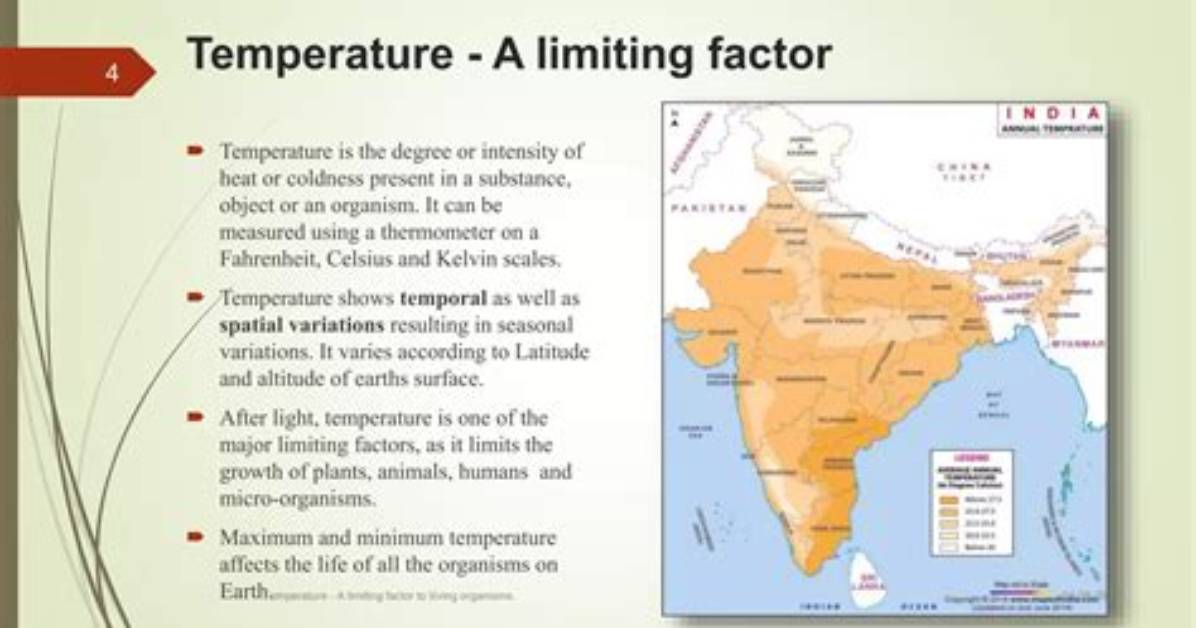 How Is Temperature a Limiting Factor for Polar Bears