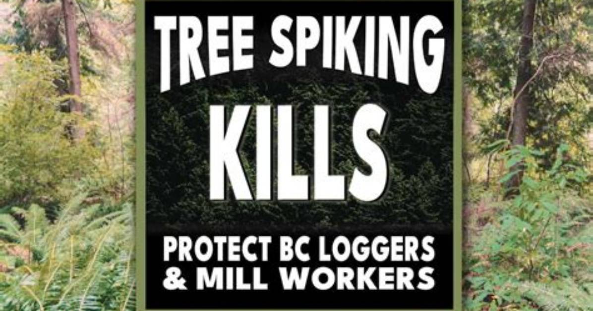 How Is Tree Spiking Done