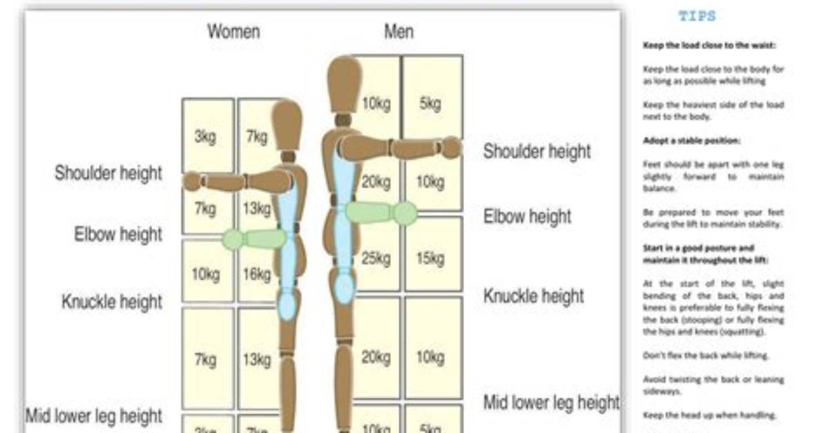 How Lifting Weights Affects the Body?