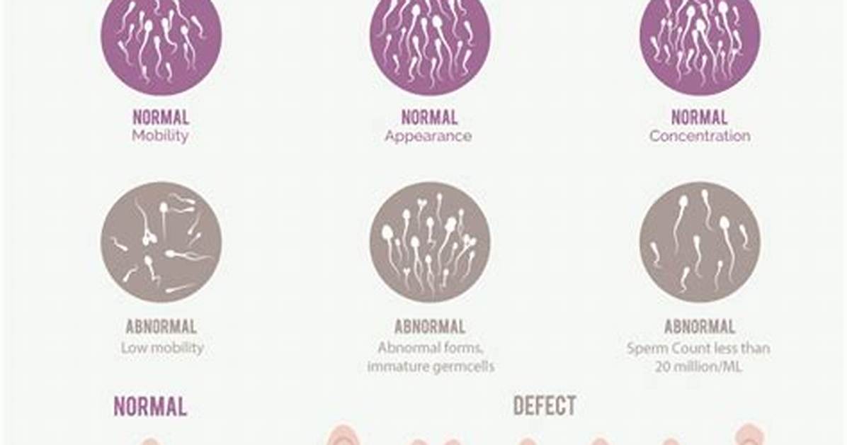 How Long Abstain Before Sperm Analysis?