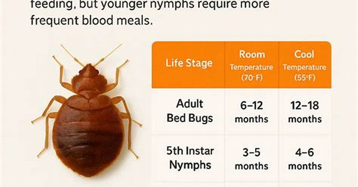 How Long Can Bed Bugs Live Without a Human Host?