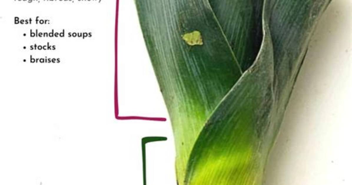How Long Can You Keep Leeks in the Fridge
