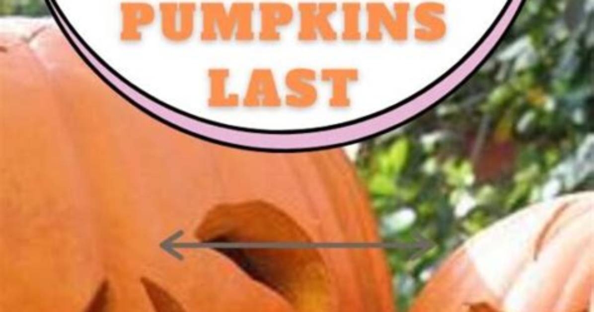 How Long Do Carved Pumpkins Last?