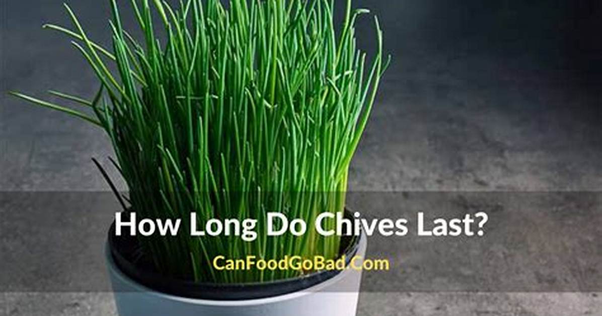 How Long Do Chives Last