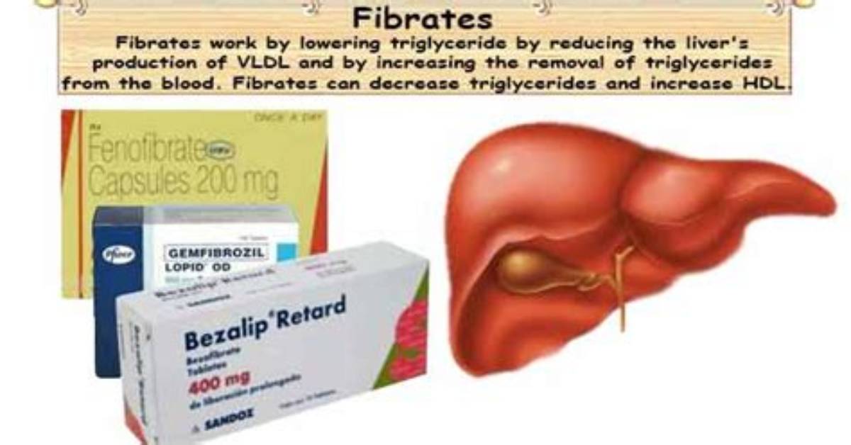 How Long Do Fibrates Take to Work?