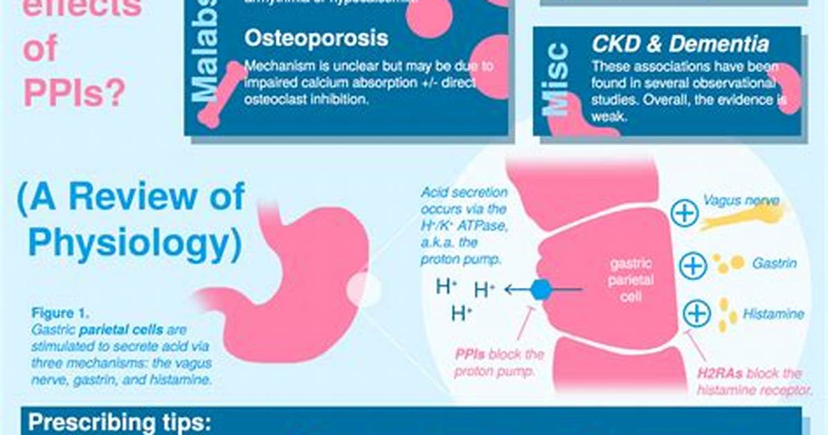 How Long Do Ppis Take to Work for Lpr?