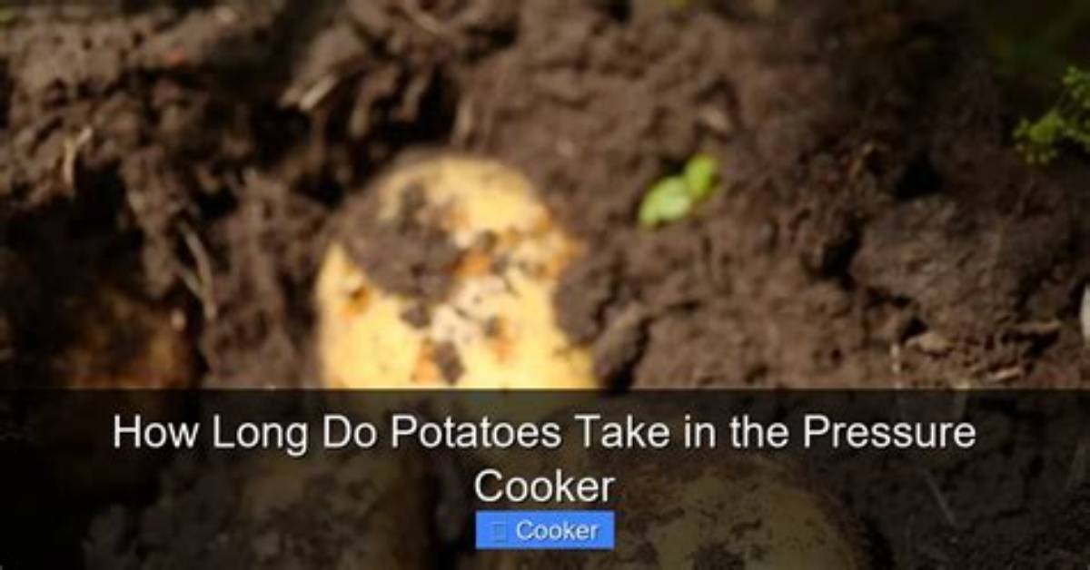 How Long Do Red Potatoes Take to Boil