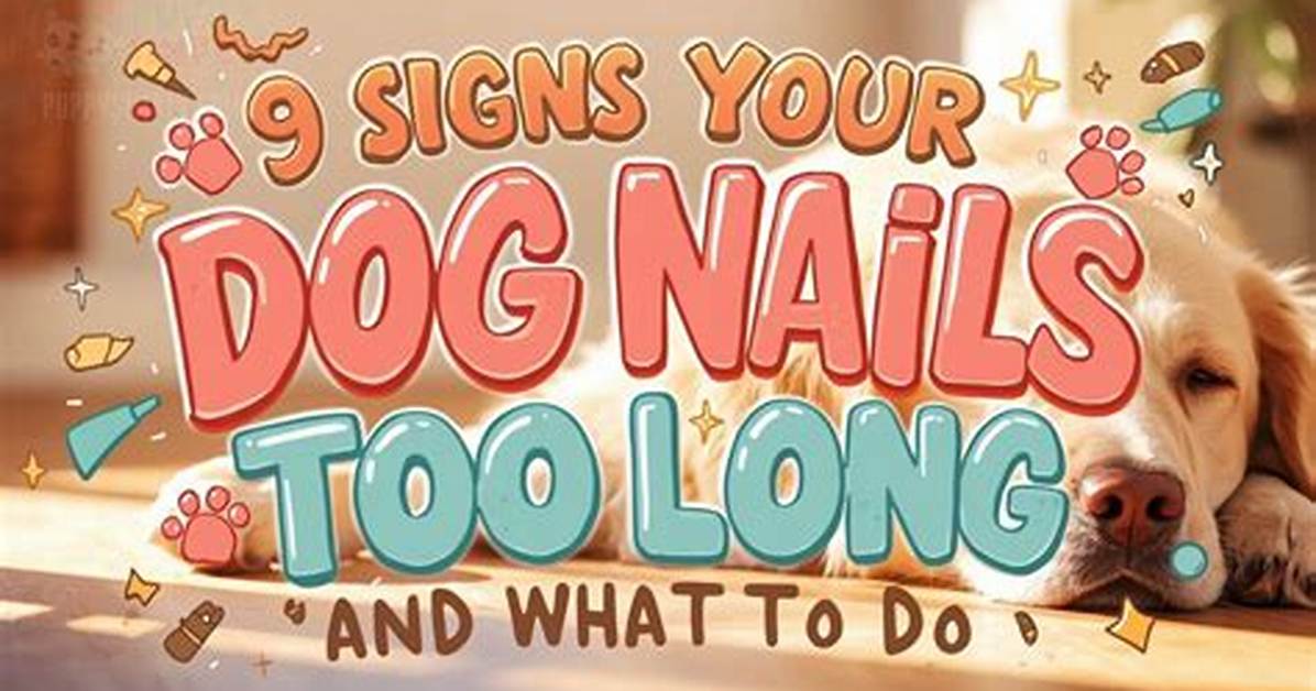 How Long Do You Coupage a Dog?