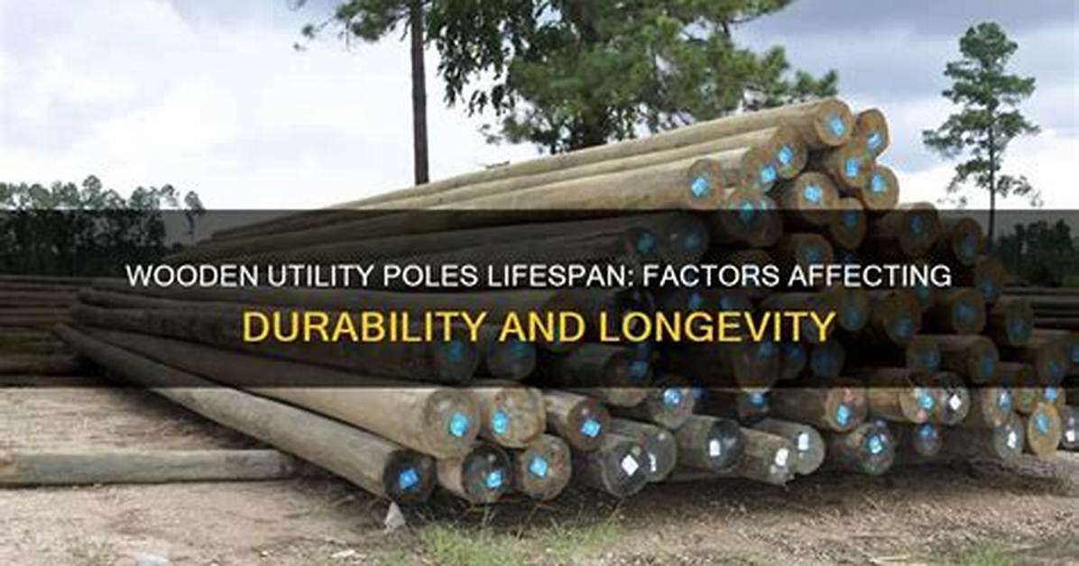 How Long Does a Wooden Utility Pole Last