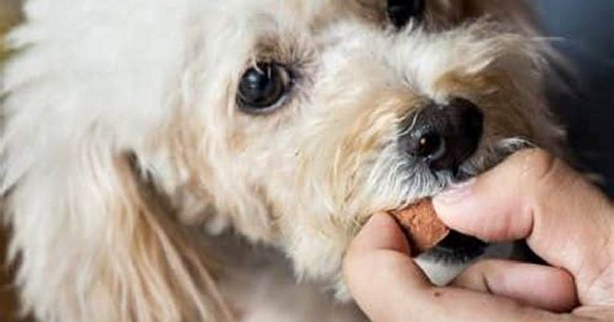 How Long Does Dewormer Take to Work in Humans?