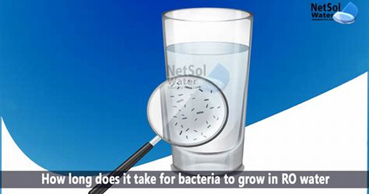 How Long Does It Take Bacteria to Double