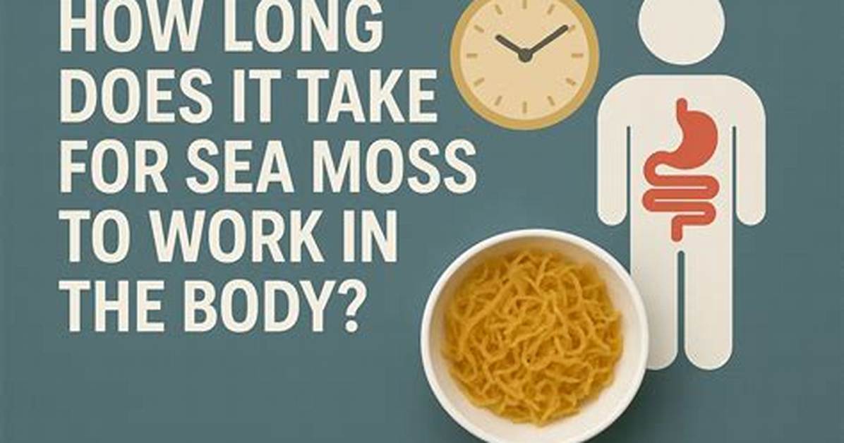How Long Does It Take for Moss out to Work
