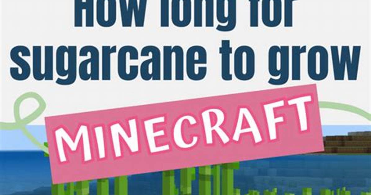 How Long Does It Take for Sugarcane to Grow Minecraft