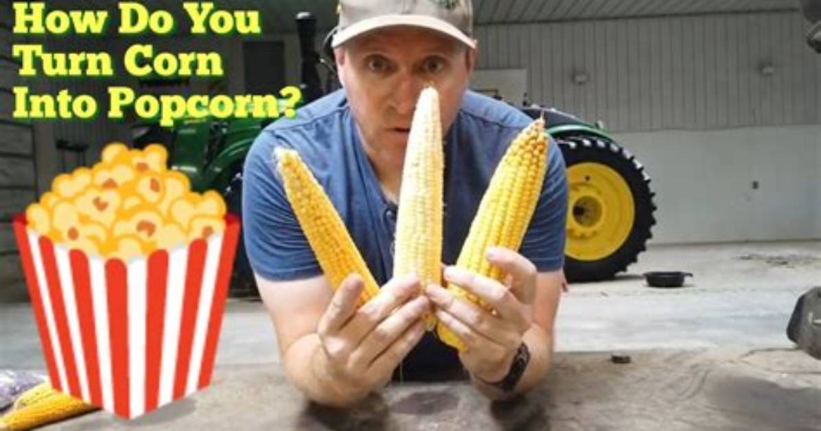 How Long Does It Take Popcorn to Pop?