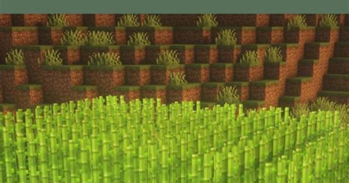 How Long Does It Take Sugar Cane to Grow Minecraft