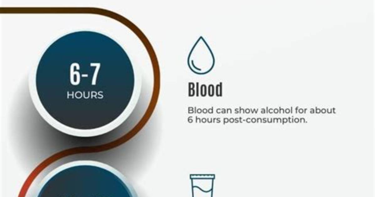 How Long Does It Take to Completely Burn up the Alcohol Ingested