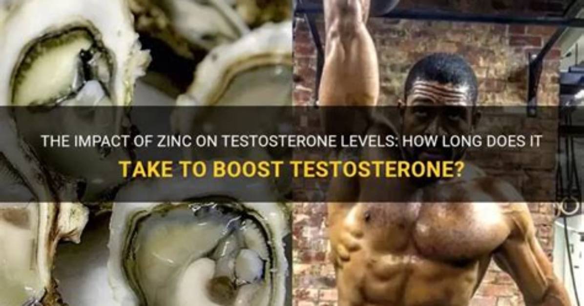 How Long Does It Take Zinc to Work?