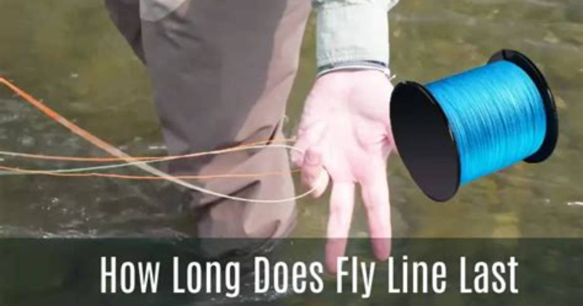 How Long Does Line X Last