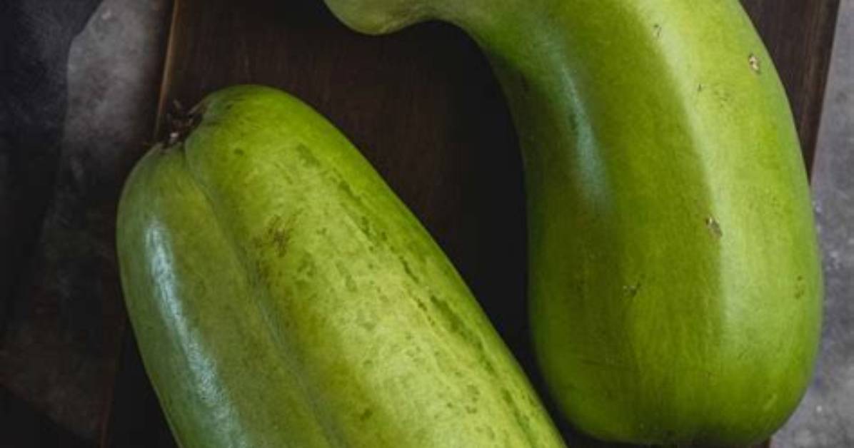 How Long Does Opo Squash Last