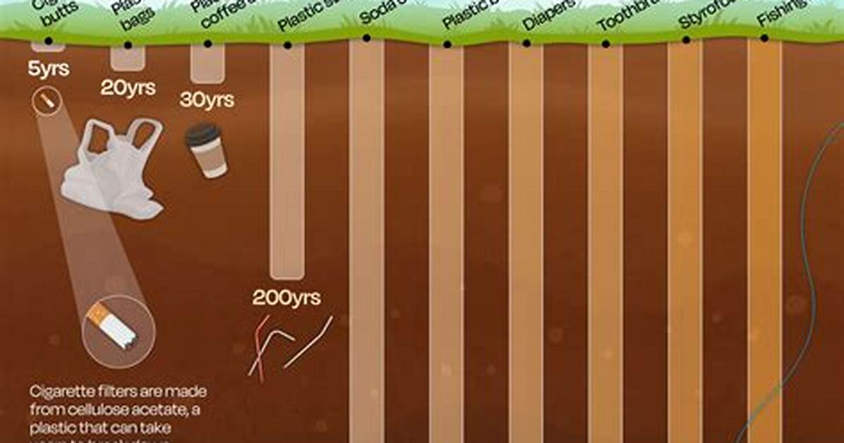 How Long Does Plastic Take to Decompose