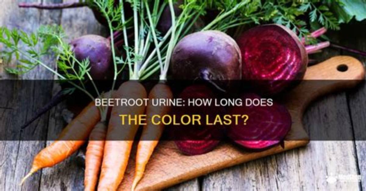 How Long Does Raw Beetroot Last