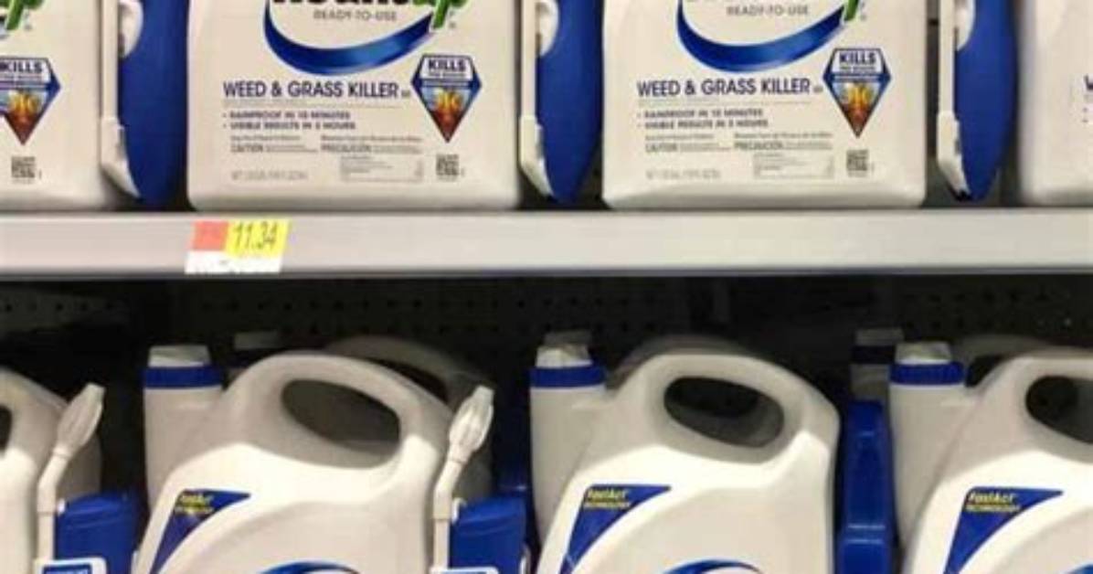 How Long Does Roundup Take to Dissipate