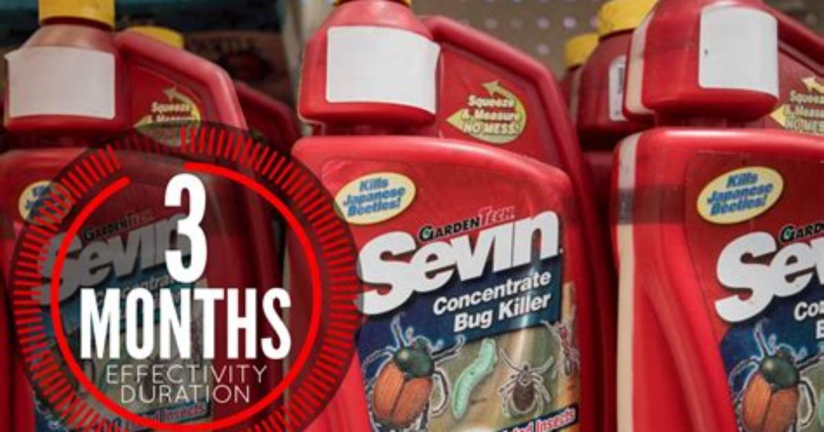 How Long Does Sevin Insecticide Last