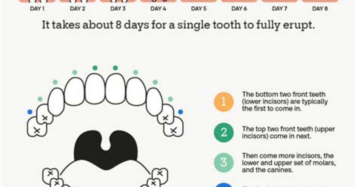 How Long Does Teething Usually Last?