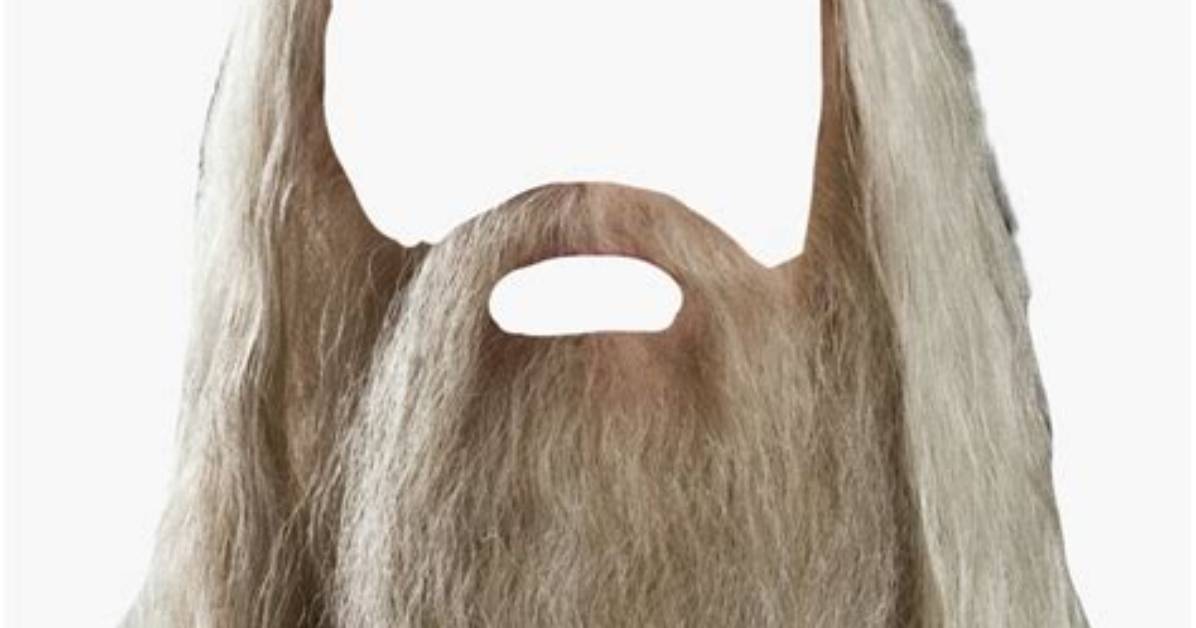 How Long Is Dumbledores Beard